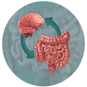 Irritable Bowel Syndrome (IBS)